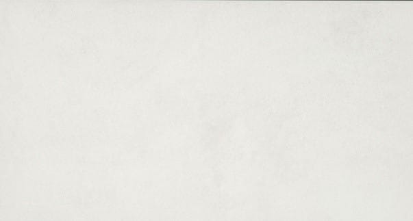 T-02 OPT 1 ALT GEMINI LOBBY ACCENT TILE COLOR PLANK; COLOR: WHITE PF02; 6IN X 24IN; 11 TILES PER CTN; $4.60 PER SQFT