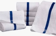 TZ0600SLJ  POOL TOWEL