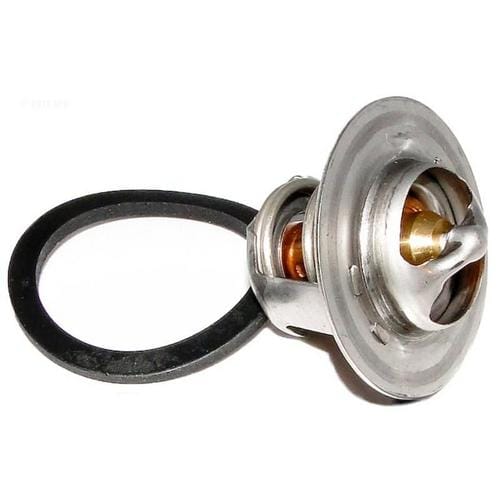 Raypak Unitherm Governor 2100