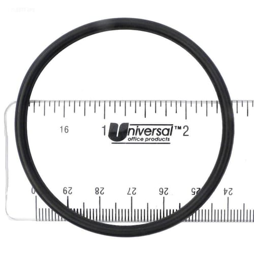 Strainer Flange O-Ring