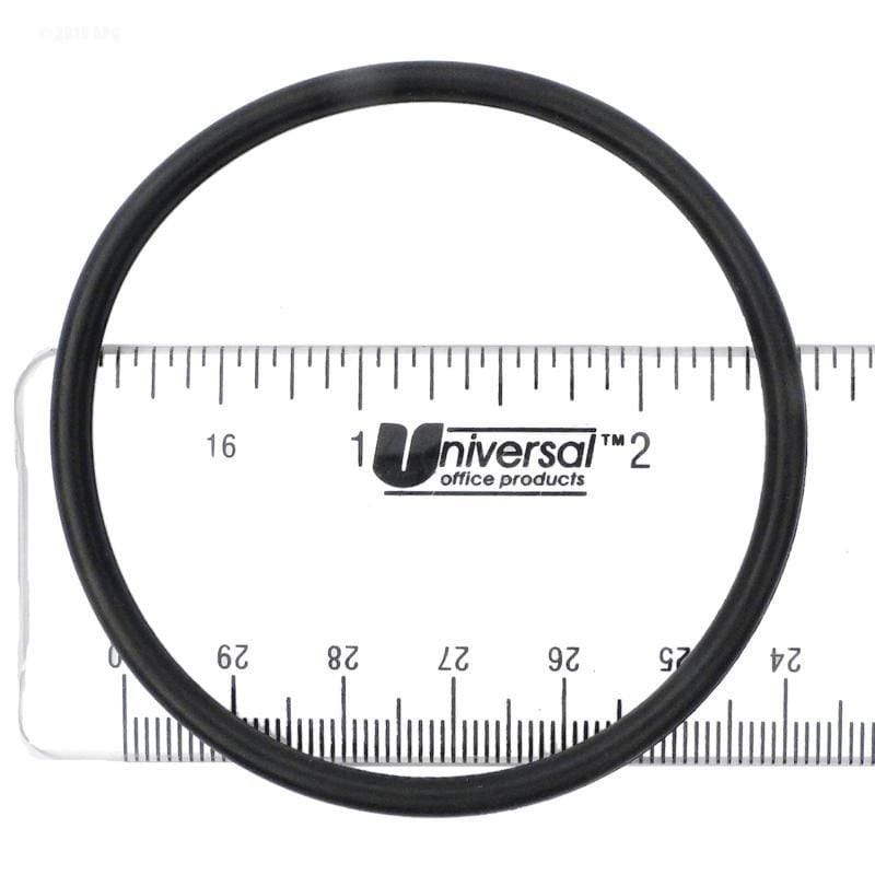 Strainer Flange O-Ring