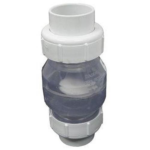 Clear Swing Check Valve 2" Union