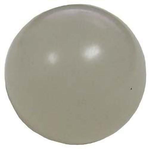 Pentair R172435 Check Ball