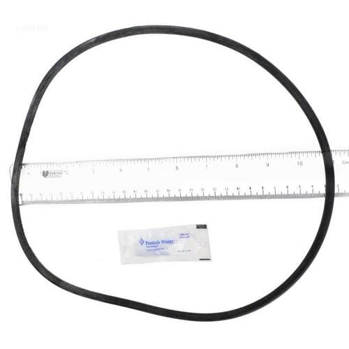 Pentair Posi-Clear Tank O-Ring (Part #25230-0010S)