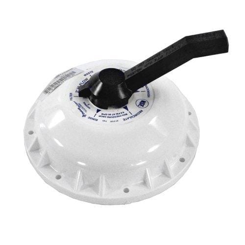 Pentair Top Valve Assembly