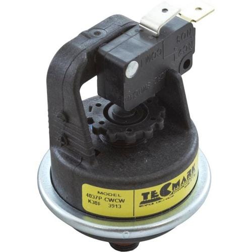 Pentair Water Pressure Switch