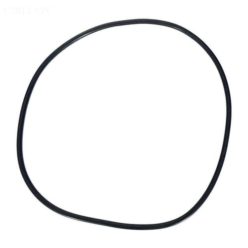 Tank O-Ring for Clean & Clear Plus, FNS Plus and Quad DE Filters