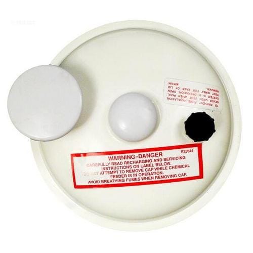 Pentair R172385 Complete Lid Assembly