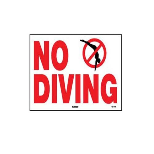 Texas  TX No Diving 12 x 18