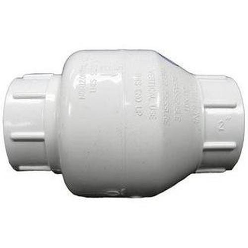 Flo-Controls 1520-20 Valve, Check 2in. S x S Swing